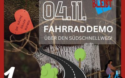 Fahrraddemo Südschnellweg